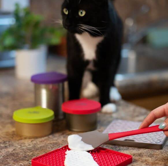 Messy Mutts Messy Cats Reversible Mat being used with precious cat nearby