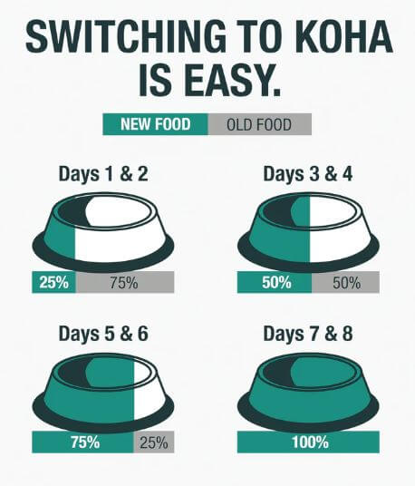 Koha Pike Palace Slow Cooked Stew slow feeding transition