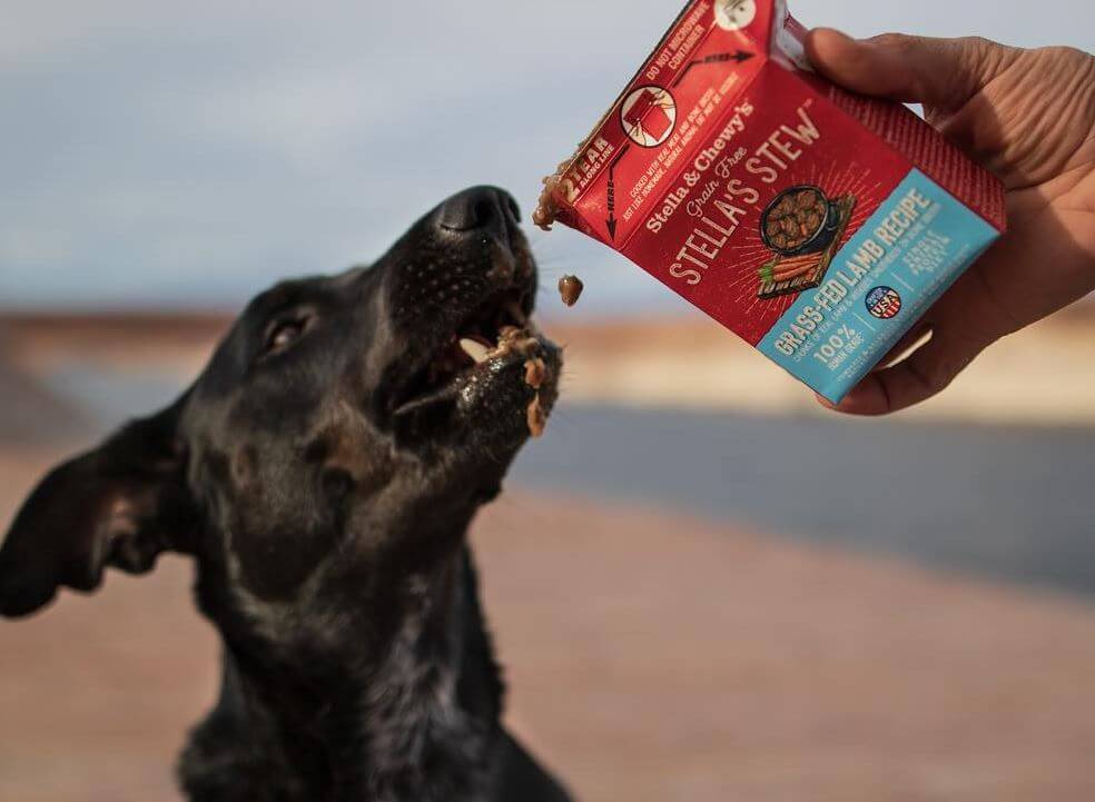 Stella & Chewy's Grass-Fed Lamb Recipe Stew next to pup