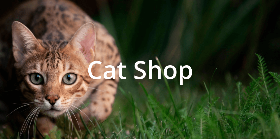 cat shop